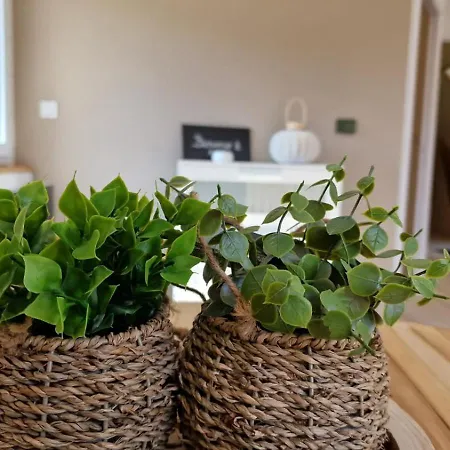 La Puy Mary Oda ve Kahvaltı 3*